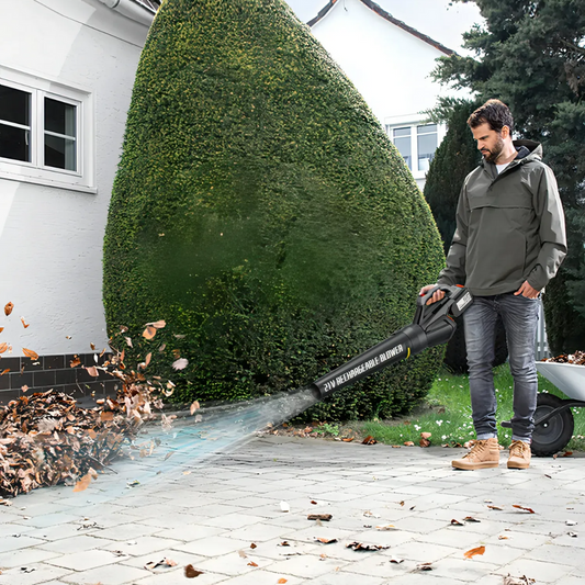 LeafMaster Pro 21V Cordless Blower